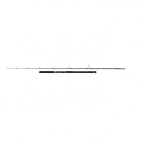Canne Penn Conflict Offshore Tuna