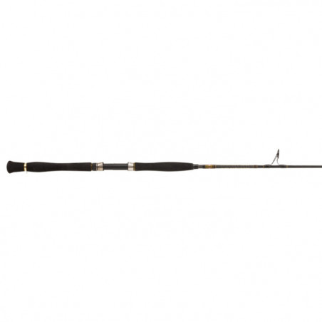 Canne Penn Legion Cat Gold Belly Pump