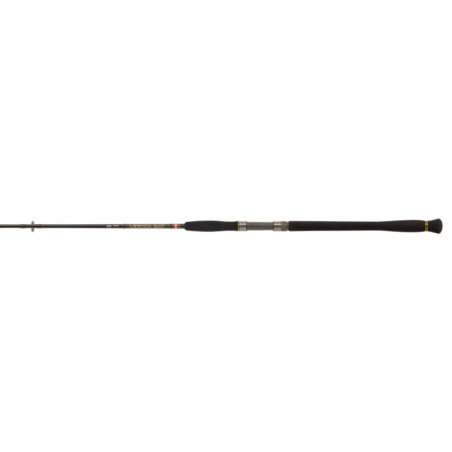 Canne Penn Legion Cat Gold Spin