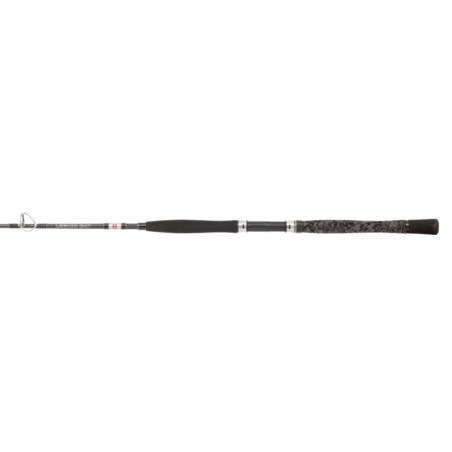 Canne Penn Legion Cat Silver Belly Pump