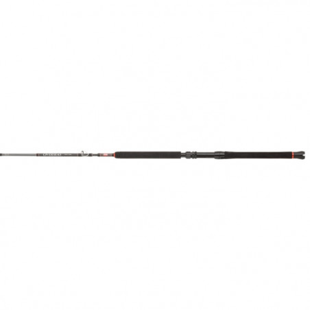 Canne Penn Overseas XT Boat