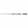 Canne Penn Overseas XT Inshore
