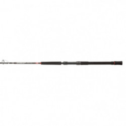 Canne Penn Overseas XT Jigging