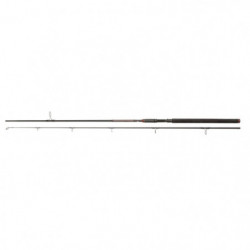 Canne Penn Prevail II SW Spin