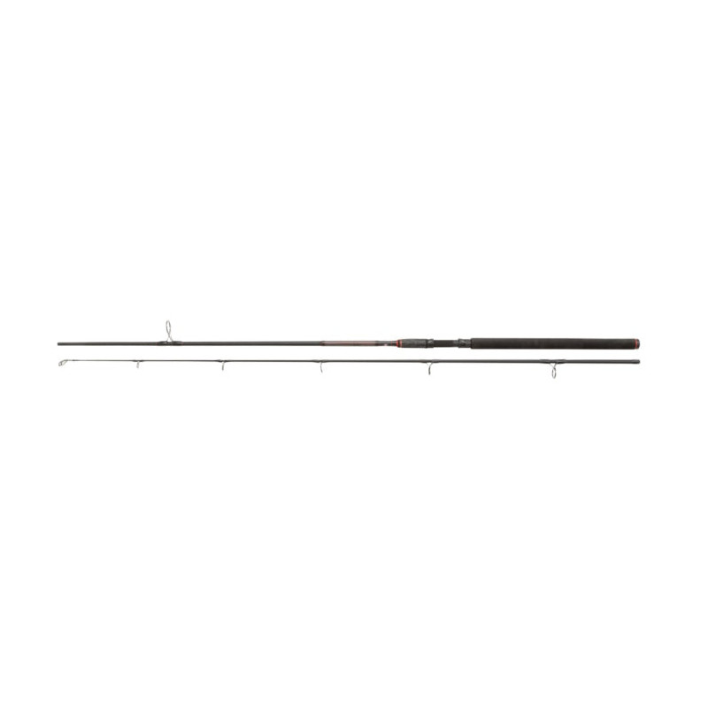 Canne Penn Prevail II SW Spin