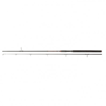 Canne Penn Prevail II SW Spin