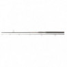 Canne Penn Prevail II SW Spin