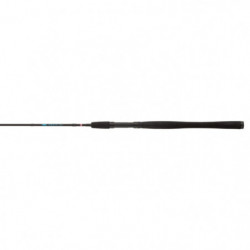 Canne Penn Wrath Spin