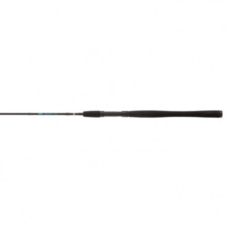 Canne Penn Wrath Spin