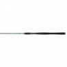 Canne Penn Wrath Spin