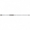Canne Spinning Abu Garcia Iaconelli