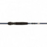 Canne Spinning Abu Garcia Iaconelli