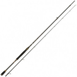 Canne Spinning Abu Garcia...
