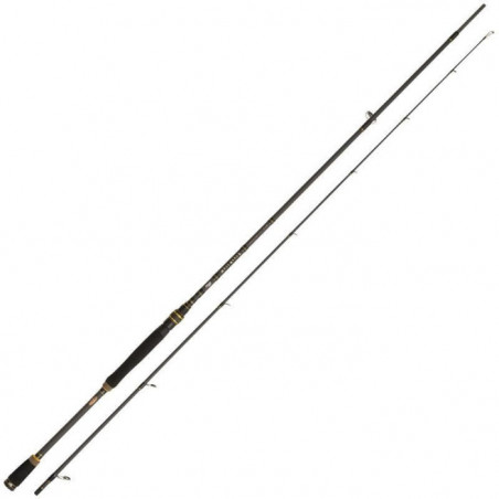 Canne Spinning Abu Garcia Mass Beat II