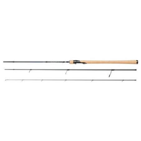 Canne spinning Abu Garcia SÖLV AG2