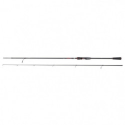 Canne spinning Abu Garcia...