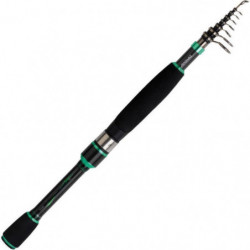 Canne Spinning Daiwa...
