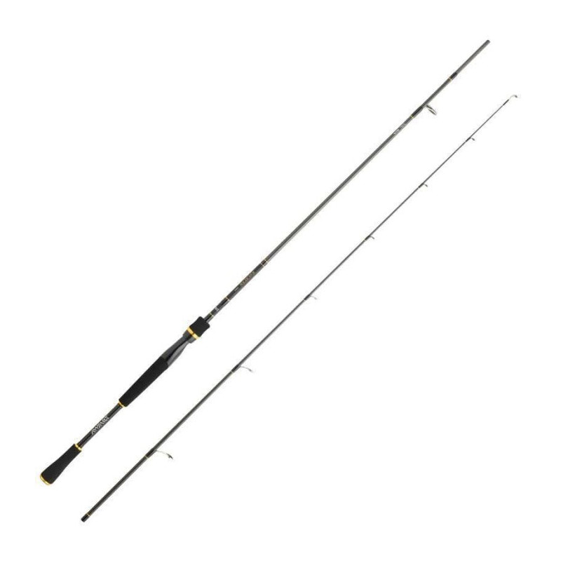 Canne Spinning Daiwa Exceler