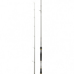 Canne Spinning Daiwa Exceler