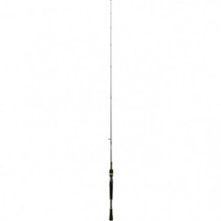 Canne Spinning Daiwa Exceler