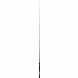 Canne Spinning Daiwa Exceler