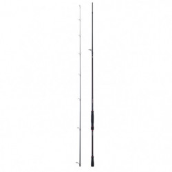 Canne spinning Daiwa Fuego