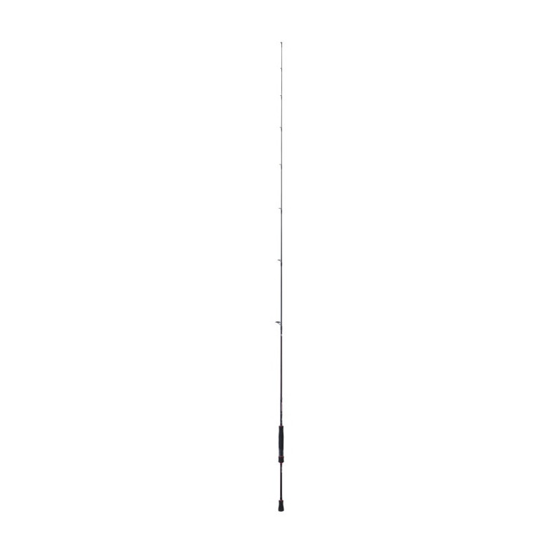 Canne spinning Daiwa Fuego