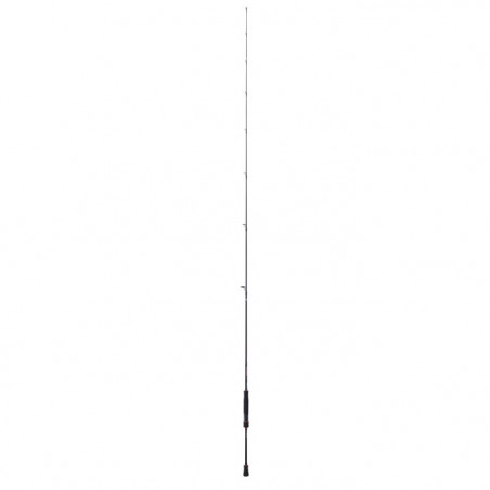 Canne spinning Daiwa Fuego