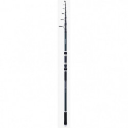 Canne spinning Daiwa...