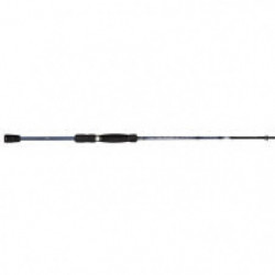 Canne spinning Lake Master...