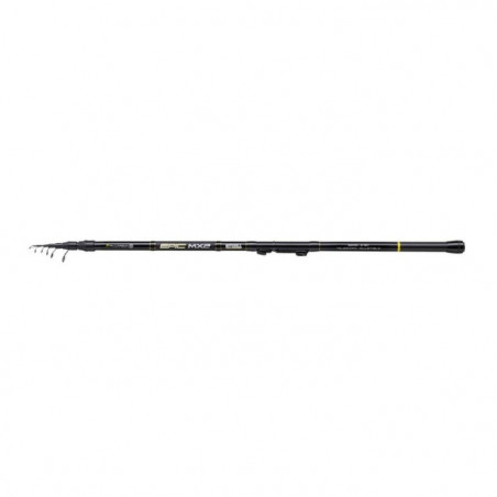Canne Spinning Mitchell Epic MX2 TE-ADJ