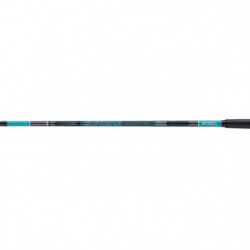 Canne spinning Mitchell Suprema 2.0 Bolentino Tele