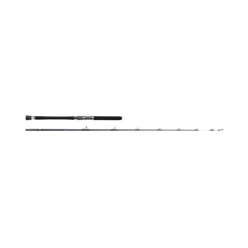 Canne spinning Penn Carnage Halibuster