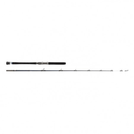 Canne spinning Penn Carnage Halibuster