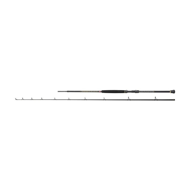Canne spinning Penn Regiment III Boat Braid