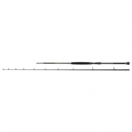 Canne spinning Penn Regiment III Boat Braid