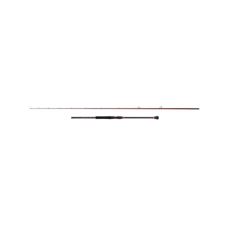 Canne Spinning Penn Squadron III Boat Braid