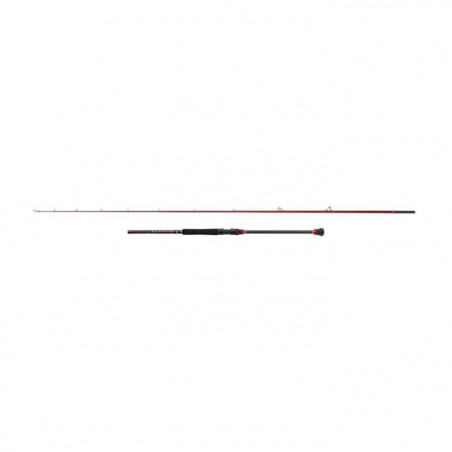 Canne Spinning Penn Squadron III Boat Braid