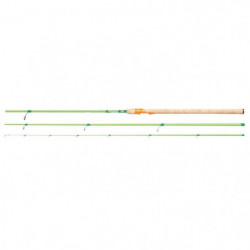 Canne Spinning Rod Berkley...
