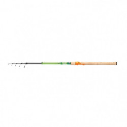 Canne Spinning Rod Berkley...