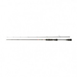 Canne Spinning Rod Berkley...