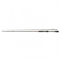 Canne Spinning Rod Berkley...