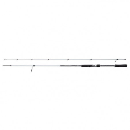 Canne Spinning Rod Mitchell Tanager SW