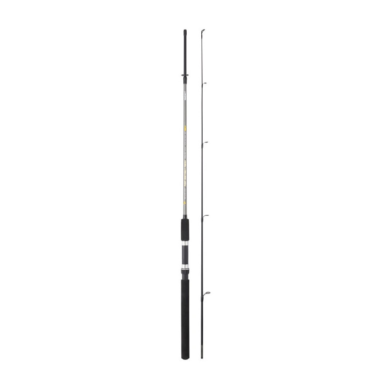 Canne spinning Sert Fish Instinct Fw20 Spincast