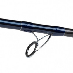 Canne spinning Shakespeare SALT XT Bass