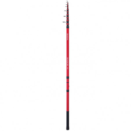 Canne télescopique Daiwa Sensor Telepike