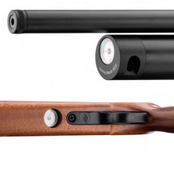 Carabine à plomb Evanix Ar22 double action - Cal. 5.5