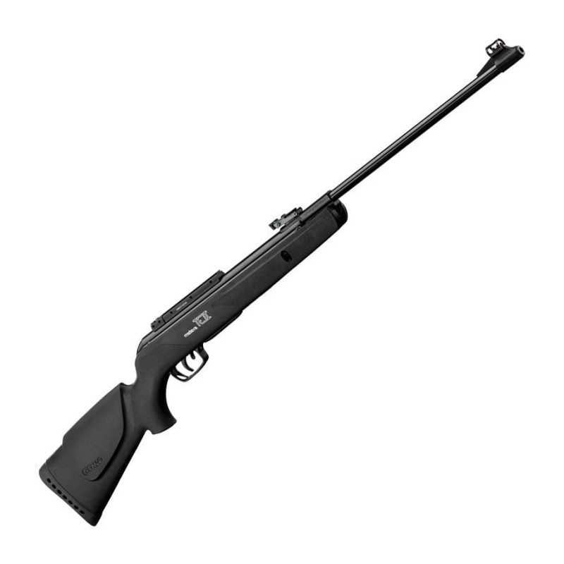 Carabine à plomb Gamo Big Cat 1000-E IGT - Cal. 4.5