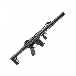 Carabine à plomb Sig Sauer...