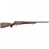 Carabine STEYR Standard SM12 - Armement séparé